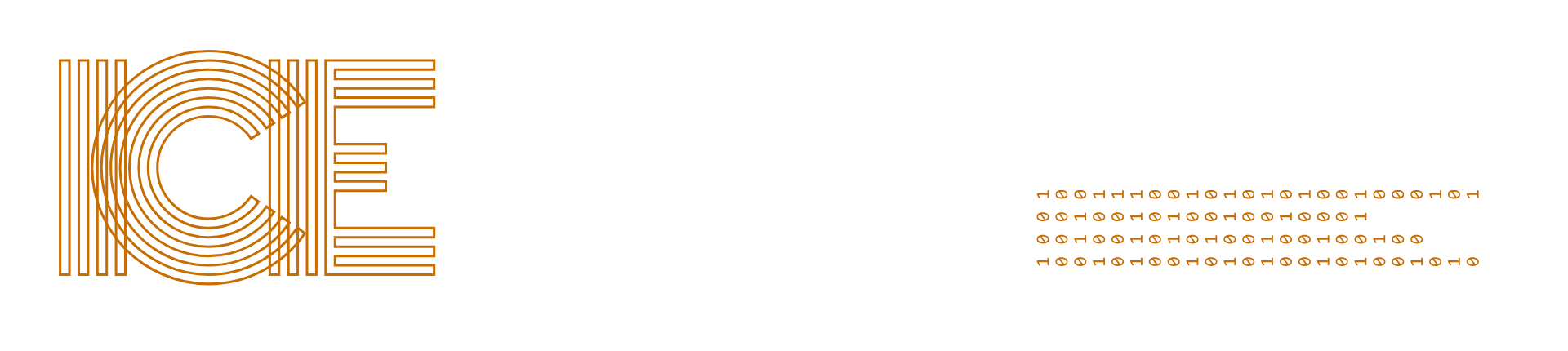 ICE Accountability Project